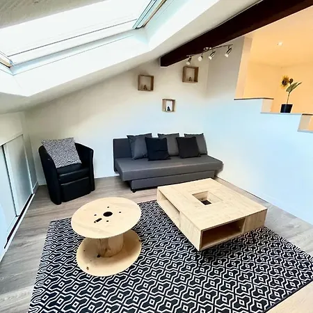 Pin's - Magnifique Sarrebourg